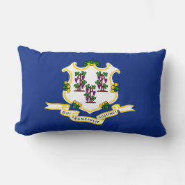 Vlag van Connecticut Kussen