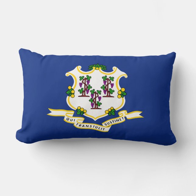 Vlag van Connecticut Kussen (Voorkant)