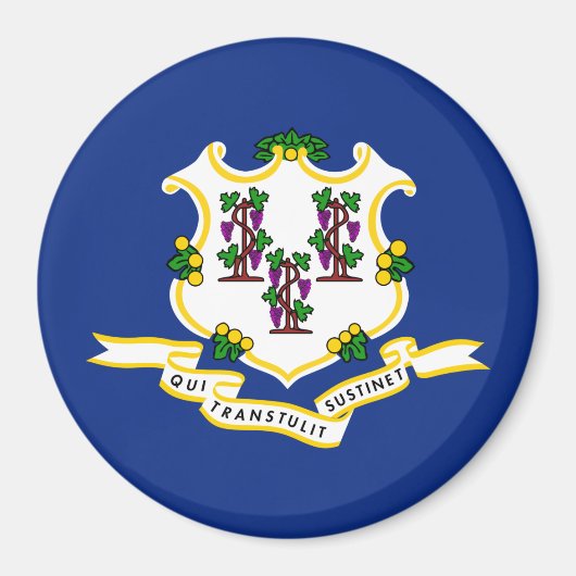 Vlag van Connecticut Magneet (Voorkant)