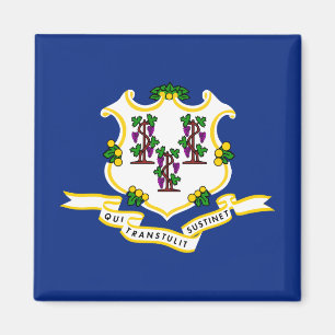 Vlag van Connecticut Magneet