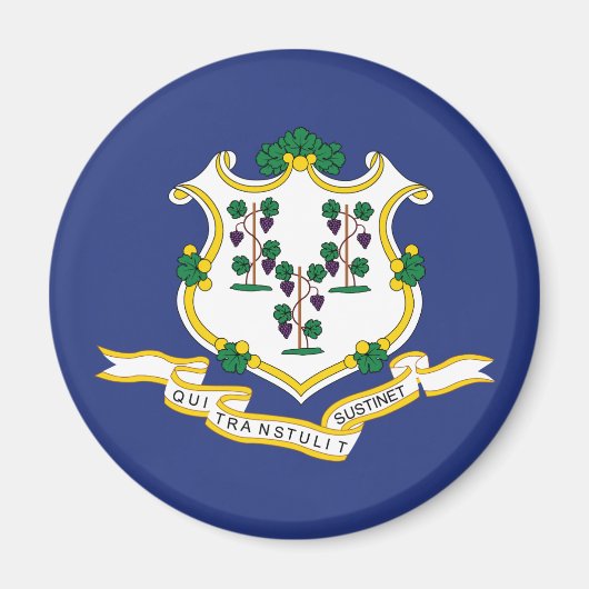 Vlag van Connecticut Magneet (Voorkant)
