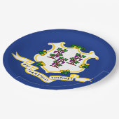 Vlag van Connecticut Papieren Bordje (Gekanteld)