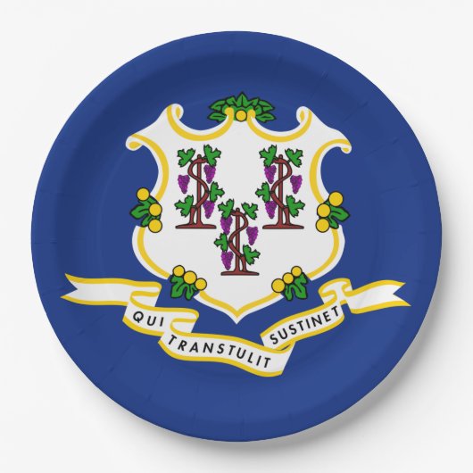 Vlag van Connecticut Papieren Bordje (Voorkant)