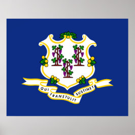 Vlag van Connecticut Poster