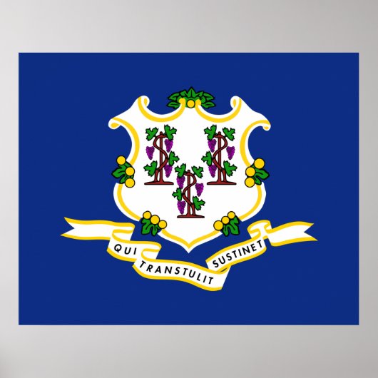 Vlag van Connecticut Poster (Voorkant)