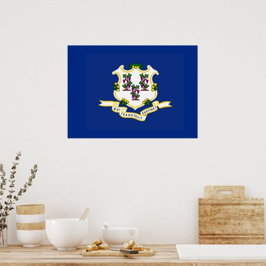 Vlag van Connecticut Poster (Keuken)