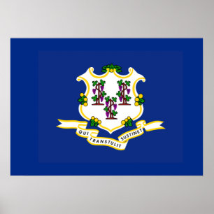 Vlag van Connecticut Poster