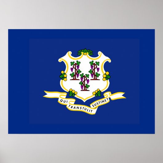 Vlag van Connecticut Poster (Voorkant)