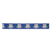 Vlag van Connecticut Satijnen Lint (Voorkant)