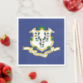 Vlag van Connecticut Servet (Insitu)