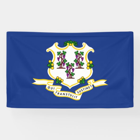 Vlag van Connecticut Spandoek (Horizontaal)