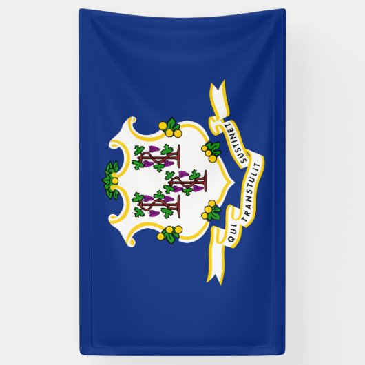 Vlag van Connecticut Spandoek (Verticaal)