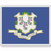 Vlag van Connecticut Sticker (Voorkant)