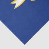 Vlag van Connecticut Tissuepapier (Detail)