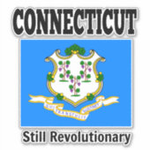 Vlag van Connecticut, Verenigde Staten Sticker (Voorkant)