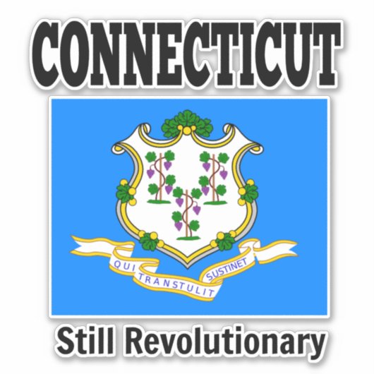 Vlag van Connecticut, Verenigde Staten Sticker (Voorkant)