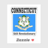 Vlag van Connecticut, Verenigde Staten Sticker (Vel)