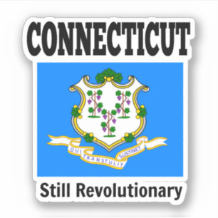 Vlag van Connecticut, Verenigde Staten Sticker