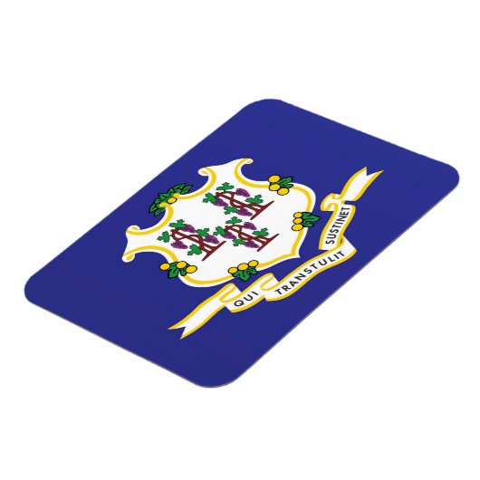 Vlag van Connecticut, VS Magneet (Linkerzijde)