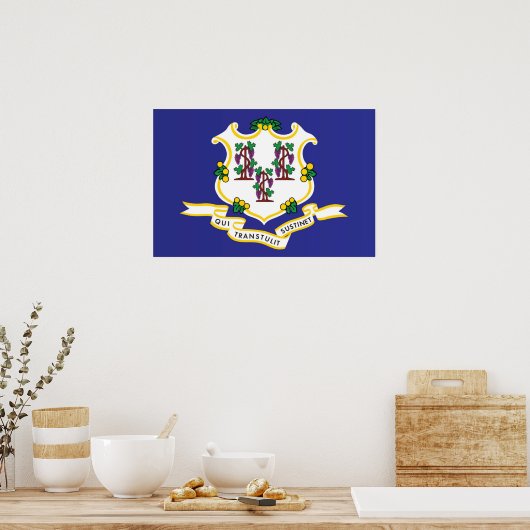 Vlag van Connecticut, VS Poster (Keuken)