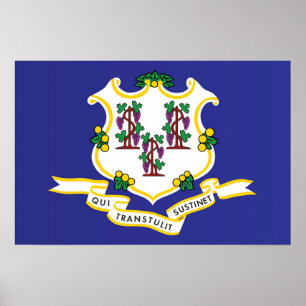 Vlag van Connecticut, VS Poster