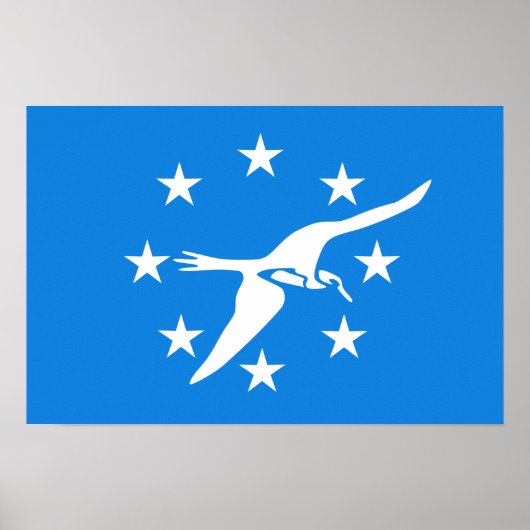 Vlag van Corpus Christi Poster (Voorkant)