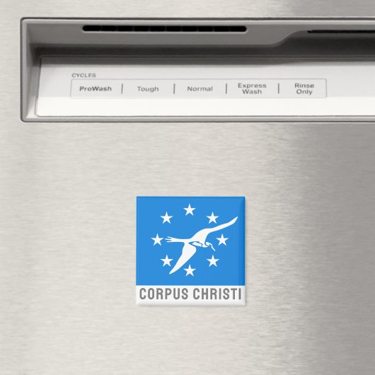 Vlag van Corpus Christi, Texas Magneet (Insitu (Vaatwasser))