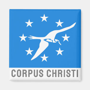 Vlag van Corpus Christi, Texas Magneet