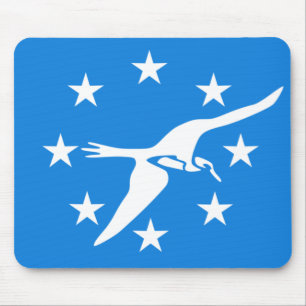 Vlag van Corpus Christi, Texas Muismat