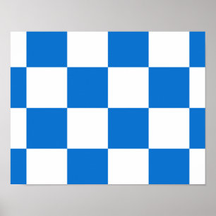 Vlag van Dalfsen Poster