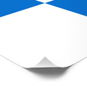 Vlag van Dalfsen Poster (Hoek)