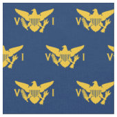 Vlag van de Amerikaanse Maagdeneilanden (klein) Na Stof (Close Up)