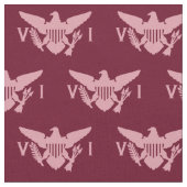 Vlag van de Amerikaanse Maagdeneilanden (klein) Ro Stof (Close Up)
