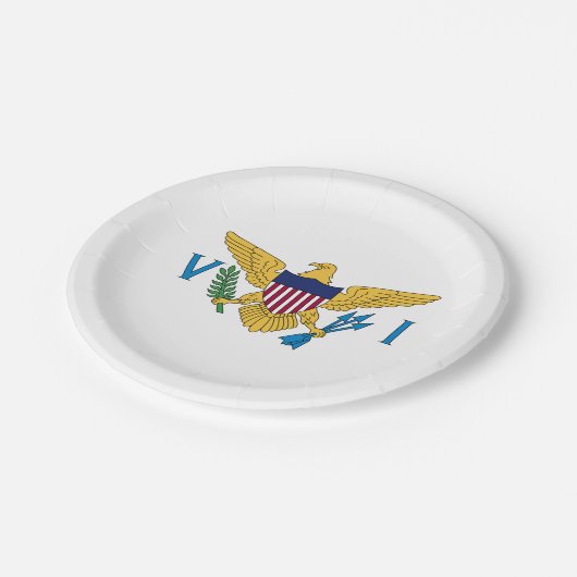 Vlag van de Amerikaanse Maagdeneilanden Papieren Bordje (Gekanteld)