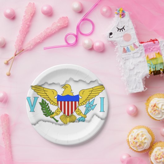 vlag van de Amerikaanse Maagdeneilanden Papieren Bordje (Feest)