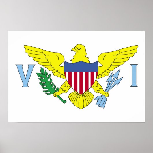 Vlag van de Amerikaanse Maagdeneilanden Poster (Voorkant)