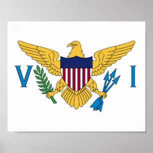 Vlag van de Amerikaanse Maagdeneilanden Poster
