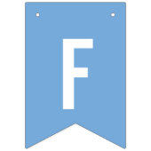 Vlag van de Argentijnse Birthday Party Decorations Vlaggetjes (Eerste vlag)