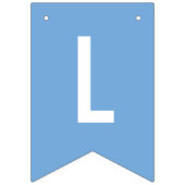 Vlag van de Argentijnse Birthday Party Decorations Vlaggetjes (Derde vlag)