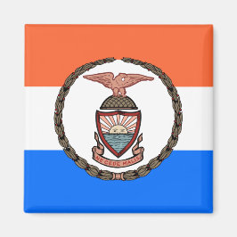 Vlag van de Bronx (Borough in New York City) Magneet