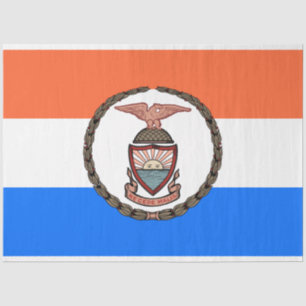 Vlag van de Bronx (Borough in New York City) Tissuepapier
