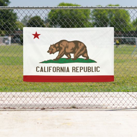 VLAG VAN DE CALIFORNIA - SPANDOEK (Insitu)