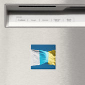vlag van de Canarische Eilanden Magneet (Insitu (Vaatwasser))