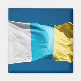 vlag van de Canarische Eilanden Magneet