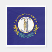 Vlag van de deelstaat Kentucky Servet (Voorkant)