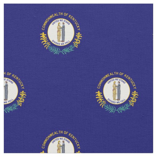 Vlag van de deelstaat Kentucky Stof (Close Up)