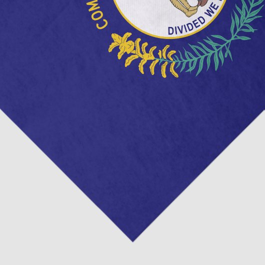Vlag van de deelstaat Kentucky Tissuepapier (Detail)