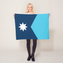 vlag van de deelstaat Minnesota