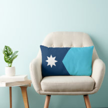 vlag van de deelstaat Minnesota