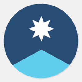 vlag van de deelstaat Minnesota Ronde Sticker